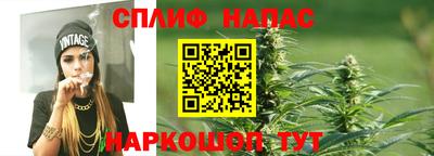 спайс Будённовск