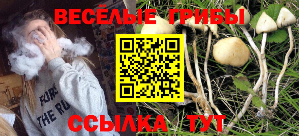 Галлюциногенные грибы MAGIC MUSHROOMS Луховицы